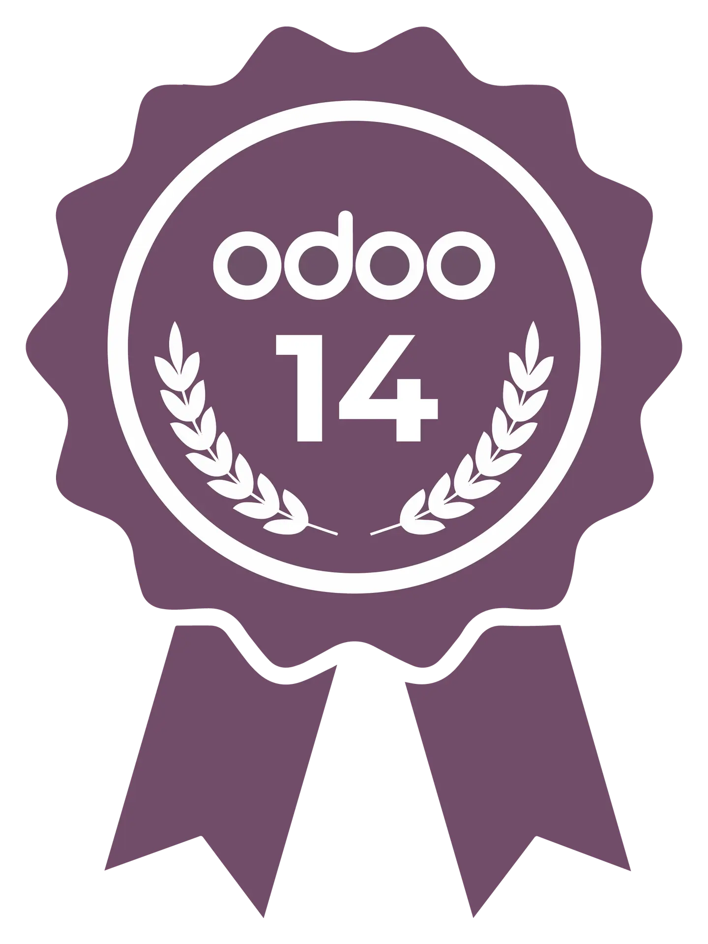Odoo 14